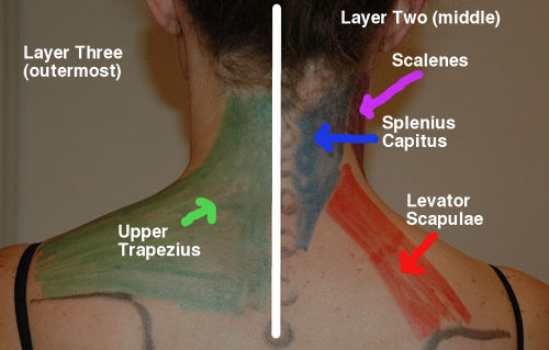 Get Rid Of Neck Pain With This 5 Min Self-Massage