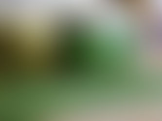 Use These 6 Effective Natural Remedies To Disolve Kidney Stones