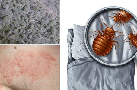 Is it Your Bed Making You Sick While You Sleep? Here’s How To Find Out and What To Do!