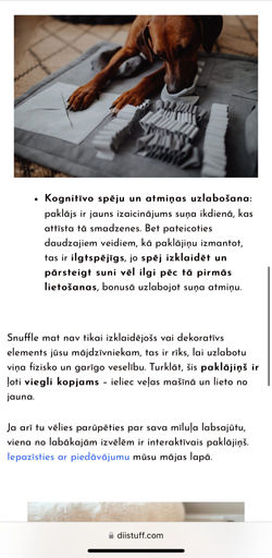 Blogu veidošana SEO uzlabošanai