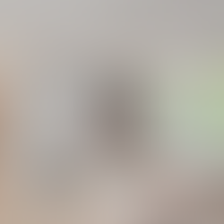 Renovation Company in London, Collective Projects London Breaks Down Cost and Quotations