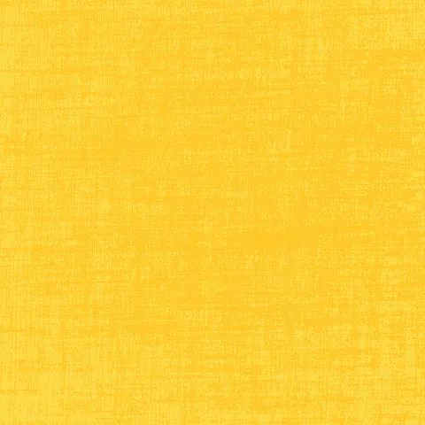 Devonstone Wide Load -Sunny