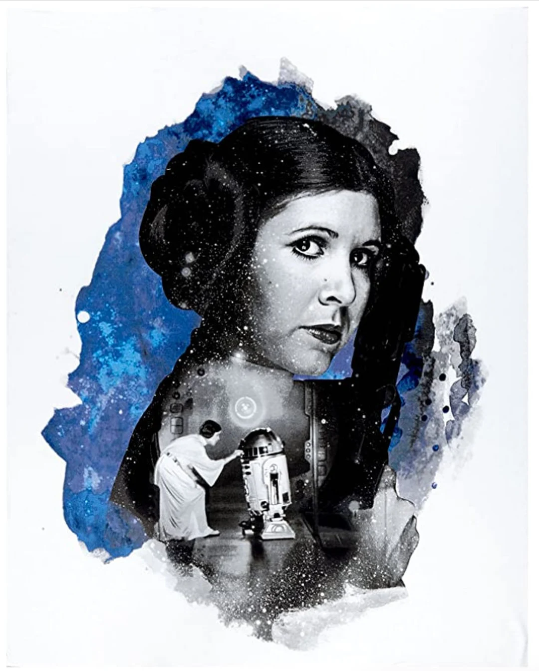 Princess Leia Panel