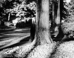 Slender3