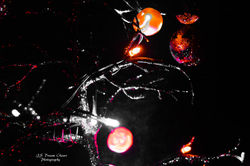 Halloweentree