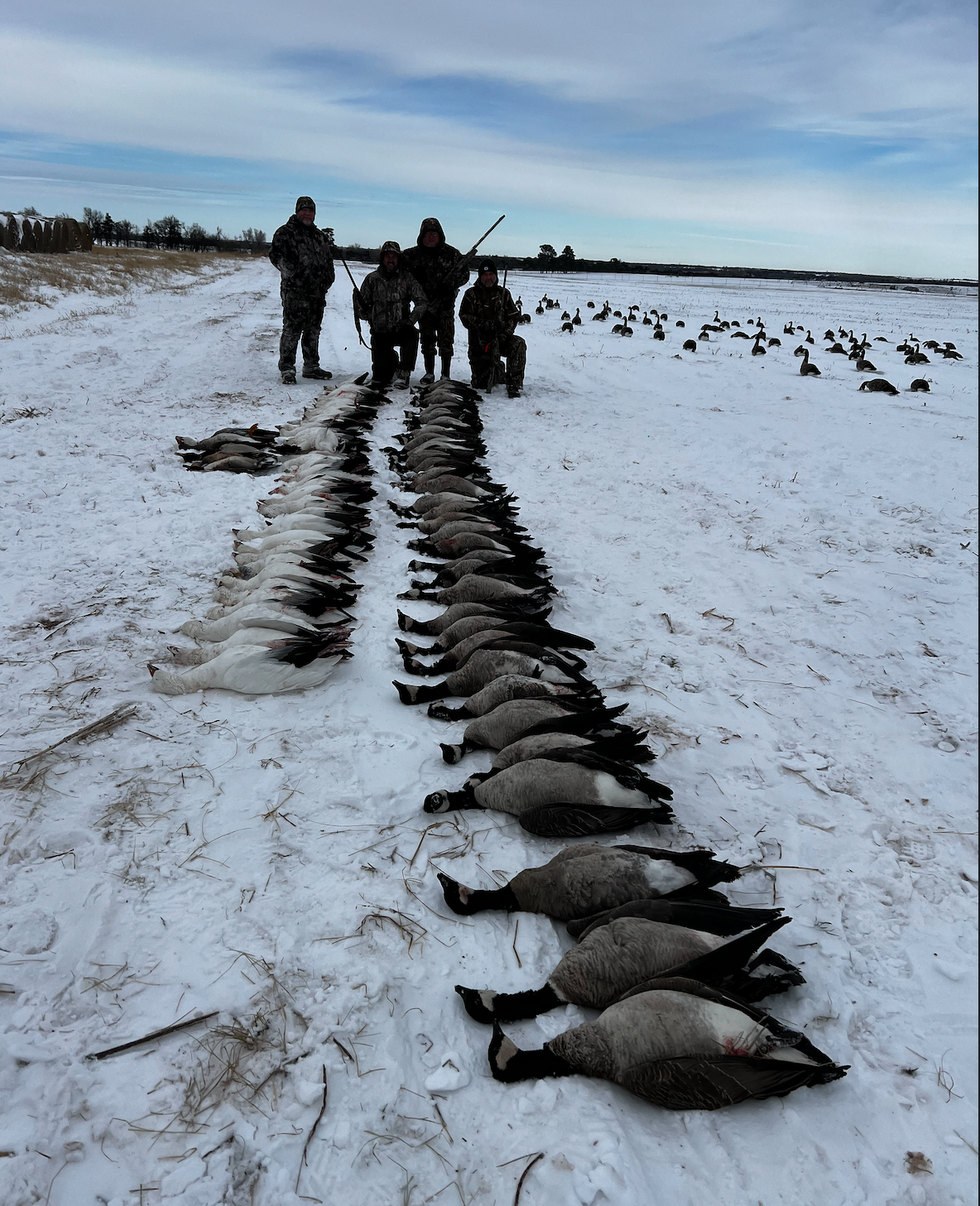 buckys 2nd group