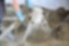 Bild 3.jpeg