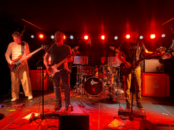 My Monkey Band LIVE