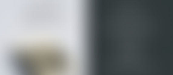 Könyvbemutató. Kosztyó Gyula: A Tanácsköztársaság Kárpátalján