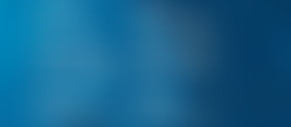 Hollósi Gábor angol nyelvű könyvismertetője Bajcsi Ildikó könyvéről