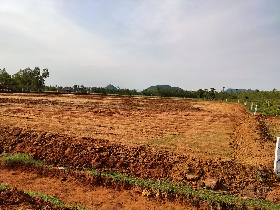 WhatsApp Image 2025-12-12 at 17.31.38_4fac050c.jpg