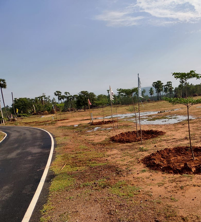 WhatsApp Image 2025-12-12 at 17.31.37_6624c0e6.jpg