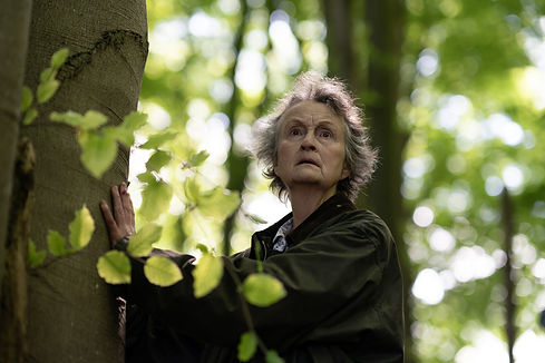 Photo 8 AS205715.jpg