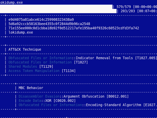 Malware Headliners: LokiBot