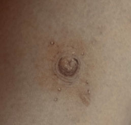 MICROSTROKING MICROBLADING TATTOO PIERCING GIRL BLACK AND GREY BUTTERFLIES SEMICOLON ROSES SUNFLOWER SNAKE MEDUSA LOTUS CROSS CHARLOTTE MICROPIGMENTATION TATTOO