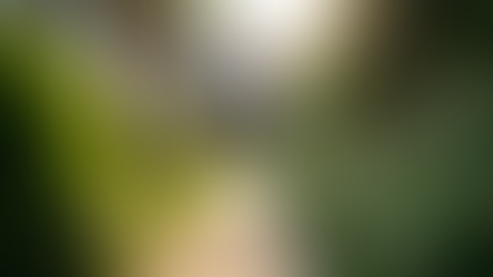 Efficient Insurance Claims for Residential and Commercial Properties