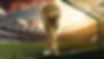 YUXBMYPTSNE73GGHVKTRFPU2FE.webp