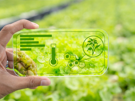 AgriTech in Developing Economies