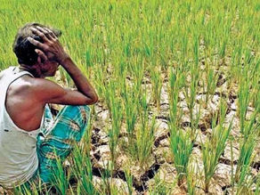 ROLE Of AGRICULTURAL TECHNOLOGY TO REDUCE FARMER’S SUICIDE