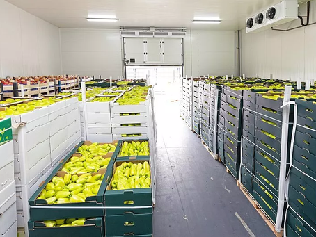 Cold Storage and Logistics: Key to India's Growth