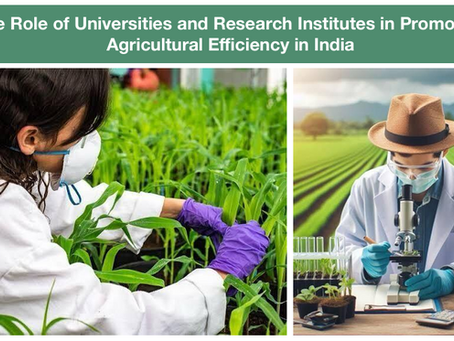 The Role of Universities and Research Institutes in Promoting Agricultural Efficiency in India