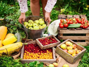 Post-Harvest Support and Recycling Initiatives in India