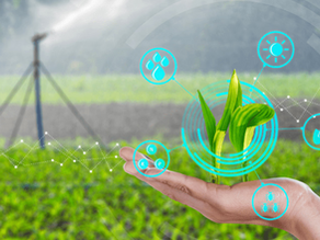 Opportunities in AgriTech Space in Emerging Economies