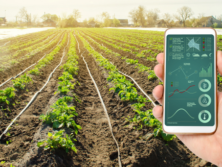 The Benefits of Data Analytics in Farm Management