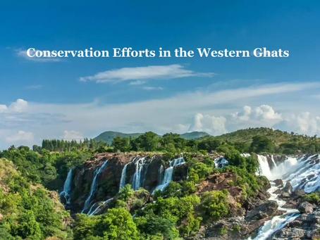Conservation Efforts in the Western Ghats