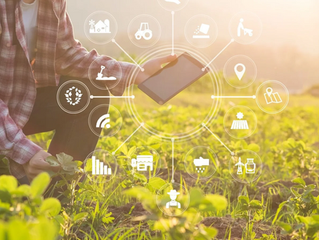Empowering Smallholder Farmers with AI Tools