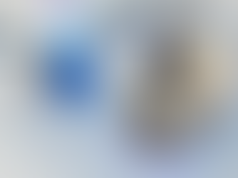 15 Domande e Risposte su MiR PalletJack 1200