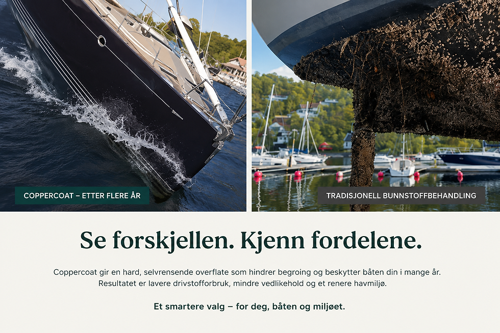forskjeller i behandling.png