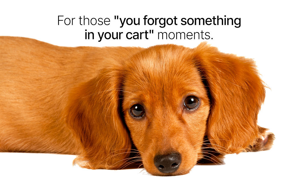 Brown dog with sad eyes lies down on a white background. Text above reads: For those "you forgot something in your cart" moments.