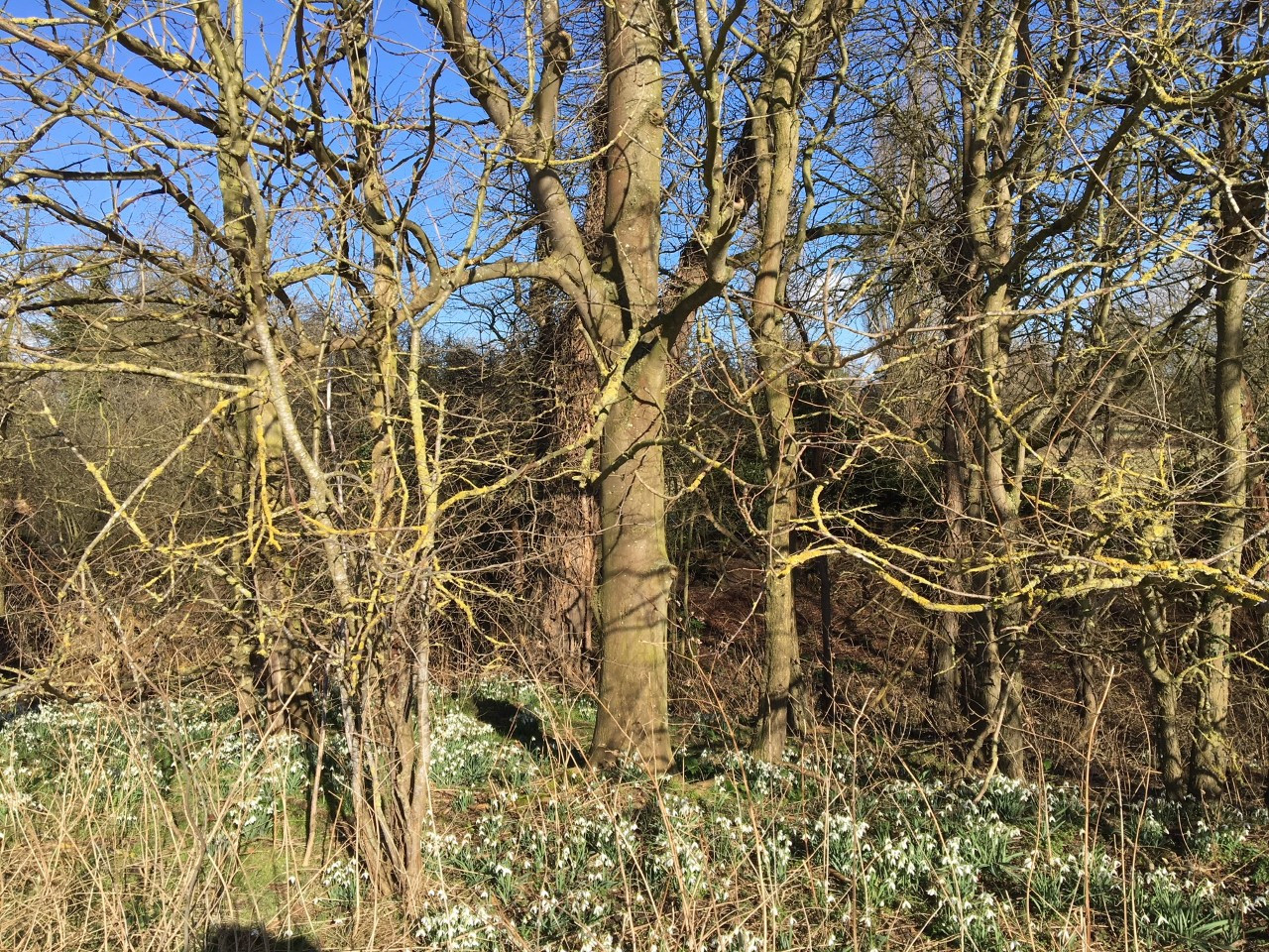 Fullscreen Page Wild Heart Workshops Art Nature - 