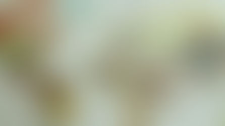 El amor no tiene fronteras: Parejas Multiculturales.