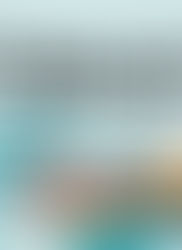 Internation and Domestic Pet Relocation - Checklist and Guide 