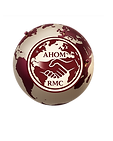 ahom logo