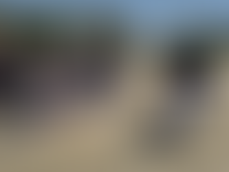 日進内野リーグ開会式