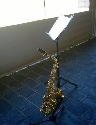 Eduan Steenkamp Saxyvibes