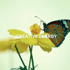 SUN (1).gif