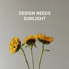 SUN.gif
