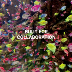 Coll .gif