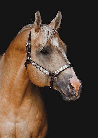 0M8A9156-Edit-1 (1).jpg