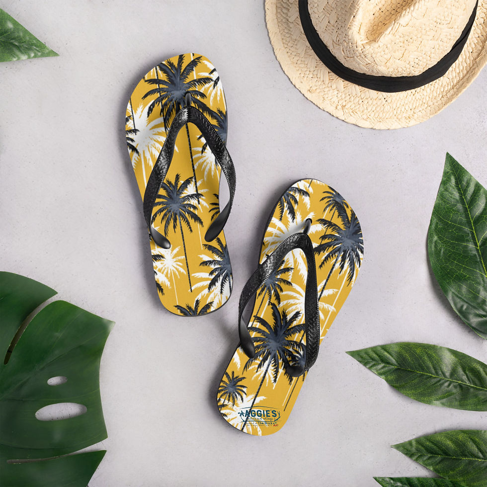 Thumbnail: Flip-Flops