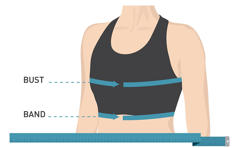 Measure Your Bra Size