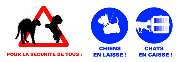 Plan de travail 2_2x.png