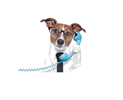 telefoneeeeeeeeeeeee_edited_edited.png