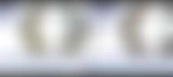 New to Range; Brake Shoes (September 2020)