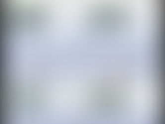 New to Range; Brake Disc (August 2021)