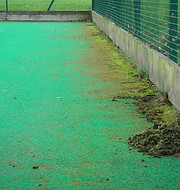 Pitch Maintenance